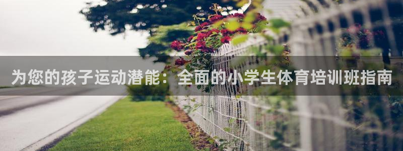 富联平台登入：为您的孩子运动潜能：全面的小学生体育培